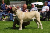 Dogshow Uden 22-06-2014 167